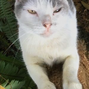 Meet your Posher, Kamil